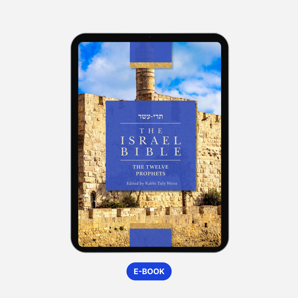 the-israel-bible-the-twelve-prophets-digital-now-in-color-israel365