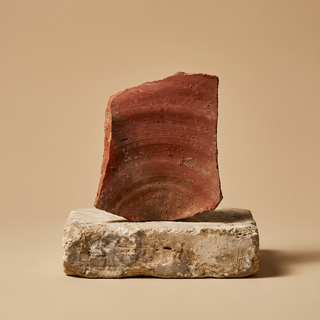 Shiloh Pottery Shard