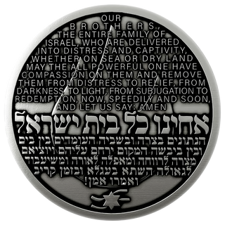 Operation Iron Swords Coin