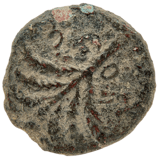 Simon Bar Kokhba (Palm Tree and Vine Leaf) Bronze Dupondius