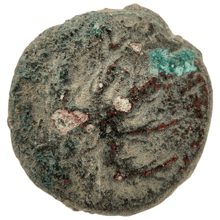 Simon Bar Kokhba (Palm Tree and Vine Leaf) Bronze Dupondius
