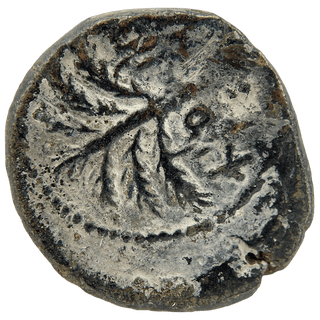 Simon Bar Kokhba (Palm Tree and Grapes - Jerusalem) Bronze Issar