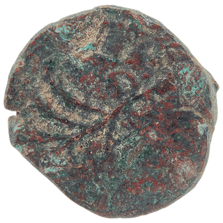 Simon Bar Kokhba (Palm Tree and Grapes - Jerusalem) Bronze Issar