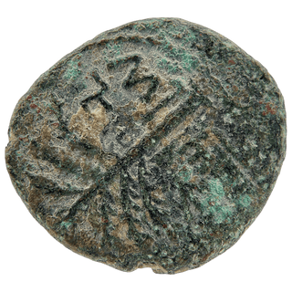 Simon Bar Kokhba (Palm Tree and Grapes - Jerusalem) Bronze Issar