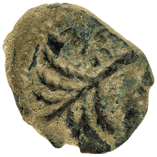 Simon Bar Kokhba (Palm Tree and Grapes - Shimon) Bronze Issar