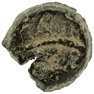 Herod the Great (Table and Diadem) Bronze Prutah