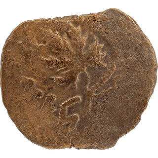 The Masada (Year Two) Bronze Prutah