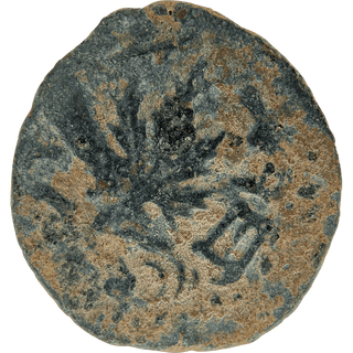 The Masada (Year Two) Bronze Prutah