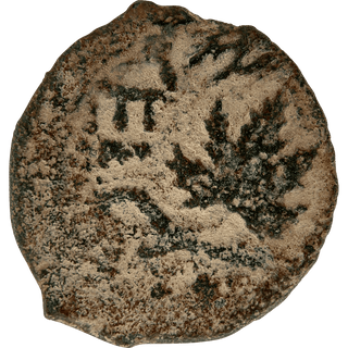 The Masada (Year Two) Bronze Prutah