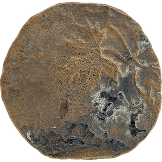 The Masada (Year Two) Bronze Prutah
