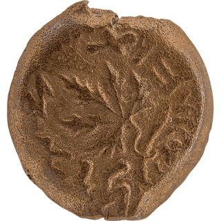 The Masada (Year Two) Bronze Prutah