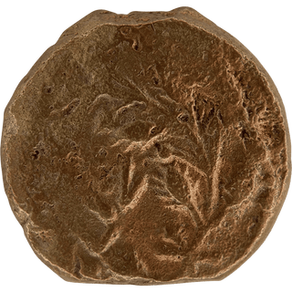 The Pontius Pilate Bronze Prutah
