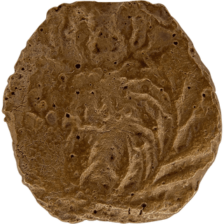The Pontius Pilate Bronze Prutah