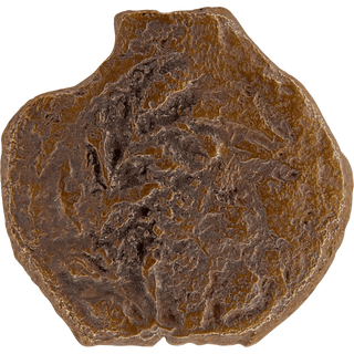 The Pontius Pilate Bronze Prutah