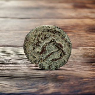 Herod the Great Coins