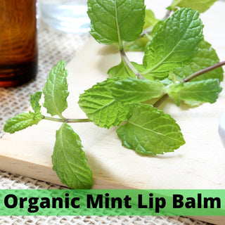 Mouthwatering Mint Lips - Organic Lip Balm