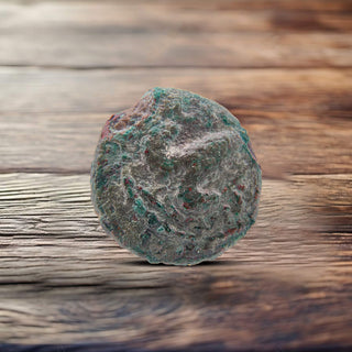 Prutah of Porcius Festus