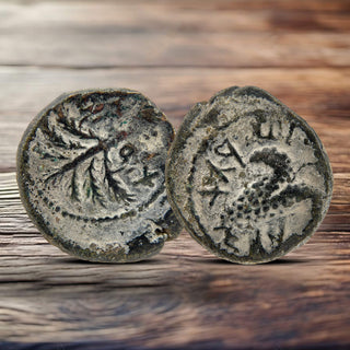 Bar Kokhba Revolt Coins
