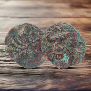 Masada Prutah Coins