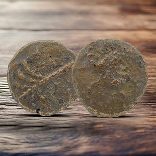 Prutah of Porcius Festus