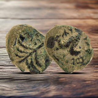 Bar Kokhba Revolt Coins