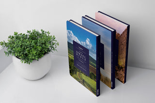 3 standing books with plant.jpg