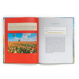 52-Week Journey Through The Israel Bible
