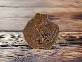 Pontius Pilate Coins