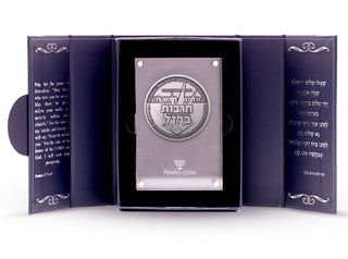 Operation Iron Swords Coin