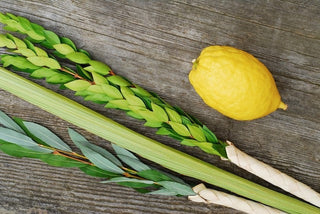 The Biblical Four Species of Sukkot — Grown in Israel