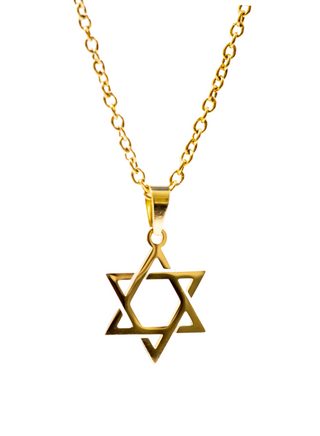 Israel365 Star of David Necklace