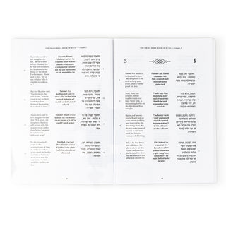 The Israel Bible Book of Ruth