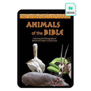 Animals of the Bible eBook