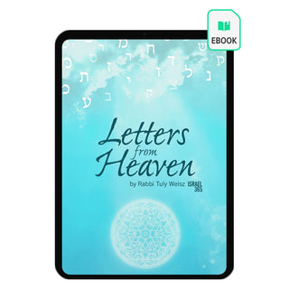Letters from Heaven e-book