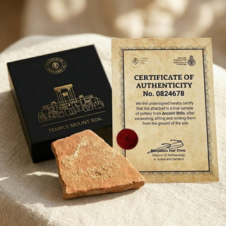 Shiloh Pottery Shard