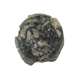 Herod the Great (Anchor and Cornucopias) Bronze Prutah