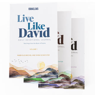 Live Like David - Daily Devotional Journal - 3 Volume Softcover Set