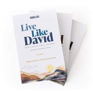 Live Like David - Daily Devotional Journal - 3 Volume Softcover Set