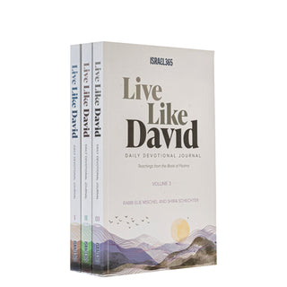 Live Like David - Daily Devotional Journal - 3 Volume Softcover Set