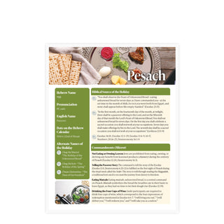 Passover Laminated Study Sheet
