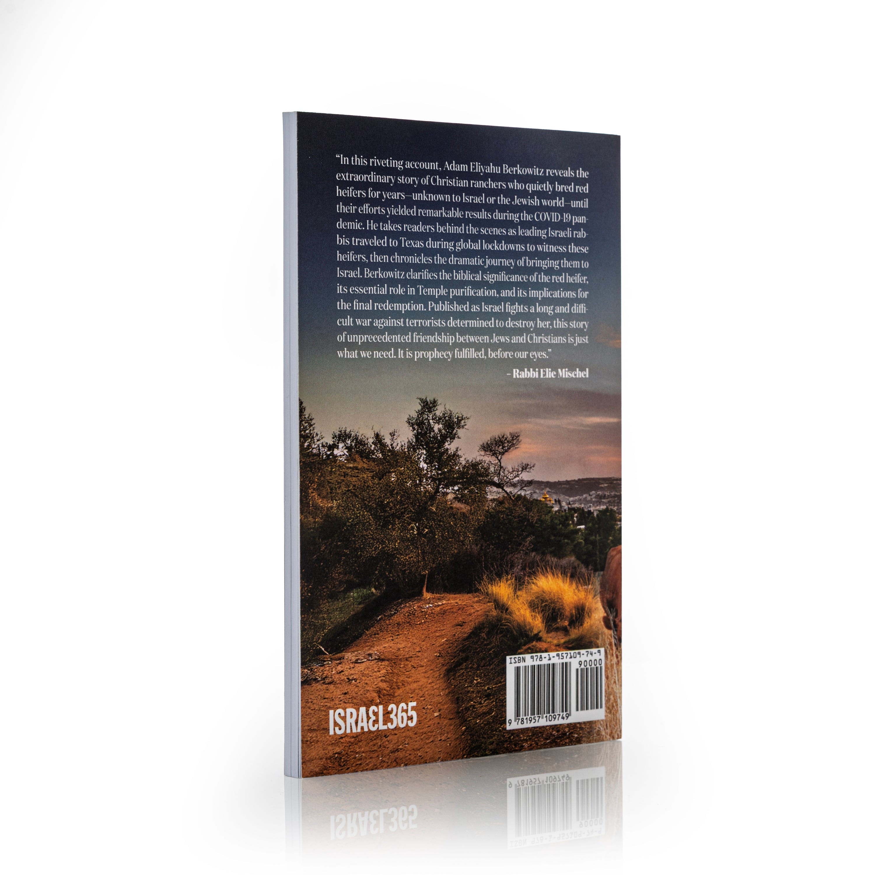 The Return of the Red Heifers: Paving the Road to Redemption – Israel365