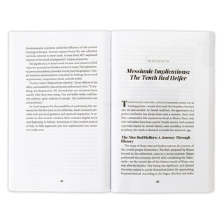 The War Against the Bible: Ishmael, Esau and Israel at the End Times