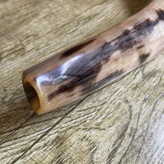 Polished Ram's Horn Shofar