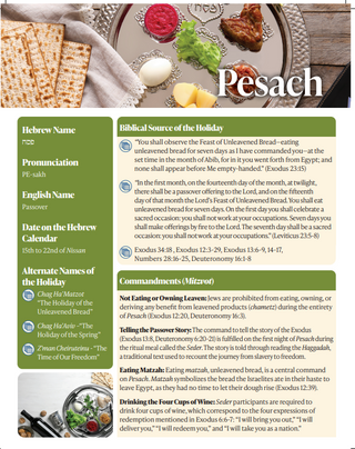 Passover Laminated Study Sheet