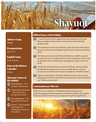 Shavuot Laminated Study Sheet