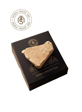 Shiloh Pottery Shard