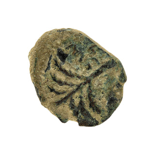 Simon Bar Kokhba (Palm Tree and Grapes - Shimon) Bronze Issar