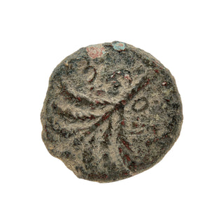 Simon Bar Kokhba (Palm Tree and Vine Leaf) Bronze Dupondius