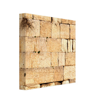 The Western Wall Brick Canvas Print