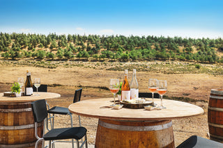 Israel365 Day Trip: an immersive journey through the heritage and flavors of Mount Hebron